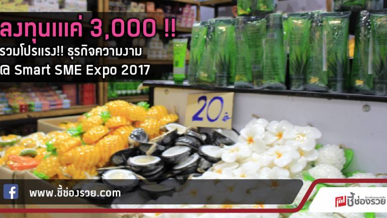 ลงทุนเแค่ 3,000 !!  รวมโปรแรง!! ธุรกิจความงาม @ Smart SME Expo 2017