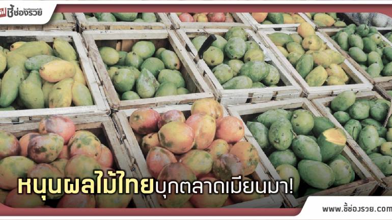 Local Economy นำผลไม้ไทยบุกตลาดเมียนมา พาณิชย์ หนุนแนวคิด