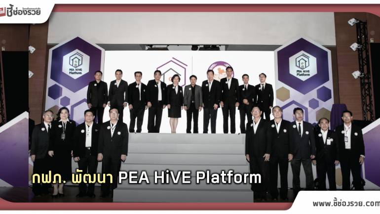 กฟภ. พัฒนา PEA HiVE Platform แพลตฟอร์มอัจฉริยะบริหารจัดการพลังงานใน Smart Home