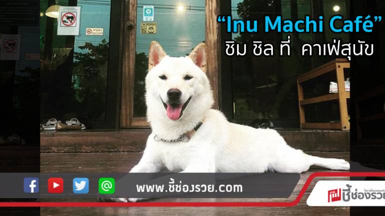 “Inu Machi Café” ชิม ชิล ที่ คาเฟ่สุนัข