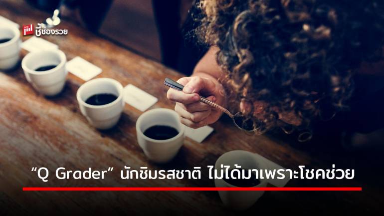“Q Grader” นักชิมรสชาติกาแฟ บทบาทสำคัญอุตสาหกรรมกาแฟไทย