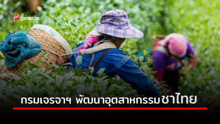 ‘กรมเจรจาฯ’ เดินหน้าช่วยพัฒนาอุตสาหกรรมชาไทย ยกระดับส่งออก