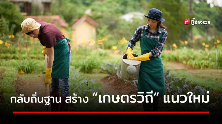 7 วิถีเกษตรนวัตกรรมดาวรุ่ง รับคนไทยกลับถิ่นฐานสร้างอาชีพใหม่ 