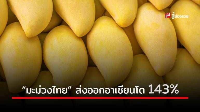 ‘กรมเจรจา’ เผย มะม่วงไทยดาวเด่น ส่งออกอาเซียนโต 143%   หนุนใช้ FTA สร้างแต้มต่อ