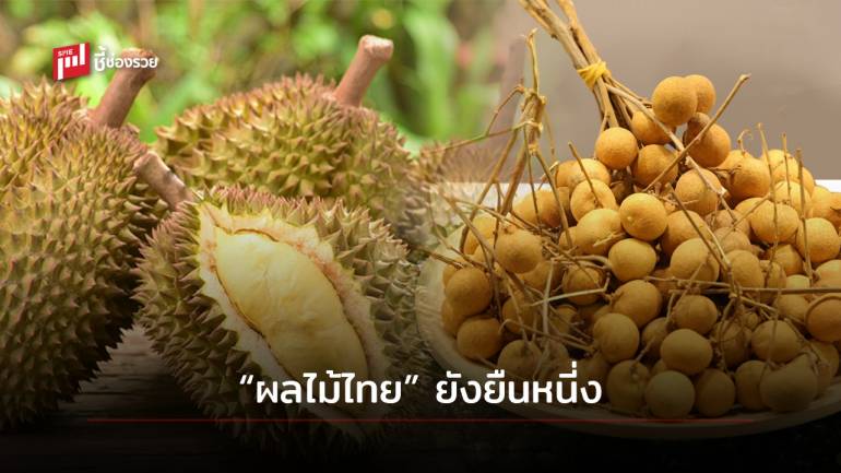 DITP เผยผลไม้ไทยยังได้รับความนิยมในตลาดสิงคโปร์ 4 เดือนส่งออกเพิ่ม 4.83%