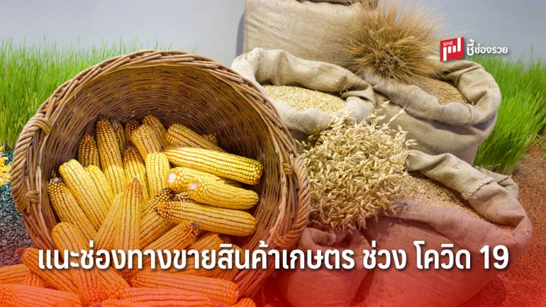 ‘พาณิชย์’ จับมือสภาเกษตรกรฯ แนะช่องทางขายสินค้าเกษตรไทย ช่วง โควิด-19