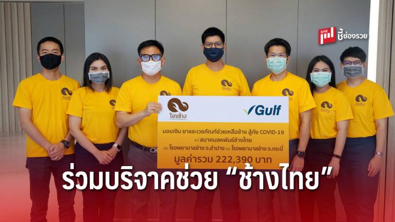 กัลฟ์ ร่วมบริจาคภายใต้โครงการ “โอบช้าง”ช่วยเหลือช้างไทยต่อสู้วิกฤตโควิด-19