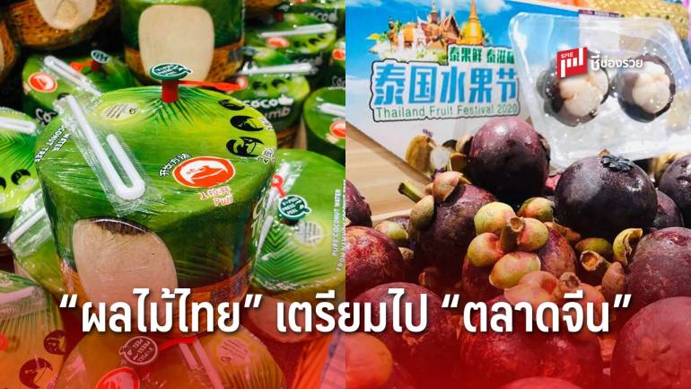ชาวสวนเตรียมตัวเฮ! รัฐเตรียมโปรโมตผลไม้ไทยผ่าน “ออนไลน์” เจาะ 8 ตลาดจีน หลังคลายล็อกดาวน์ 