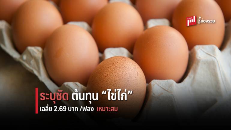 สศก. ระบุต้นทุนไข่ไก่เฉลี่ย 2.69 บาท/ฟอง มั่นใจราคาเหมาะสมต่อเกษตรกรผู้เลี้ยงและผู้บริโภค