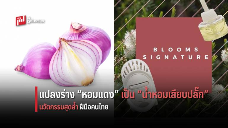 ฝีมือคนไทย! แปลงร่าง “หอมแดง” เป็นน้ำหอมเสียบปลั๊ก แบรนด์ “Blooms Home Fragrance” 