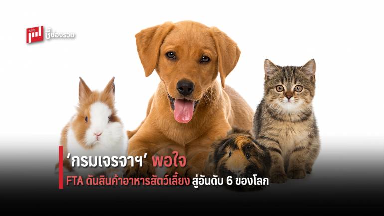 ‘กรมเจรจาฯ’ พอใจ เอฟทีเอดันส่งออกสินค้าอาหารสัตว์เลี้ยงไทยทะยานสู่อันดับ 6 โลก