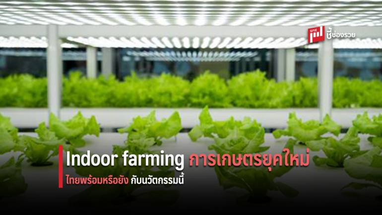 EIC เผยเทรนด์ความพร้อมการทำเกษตรยุคใหม่ “Indoor farming” ไทยพร้อมแน่หรือ
