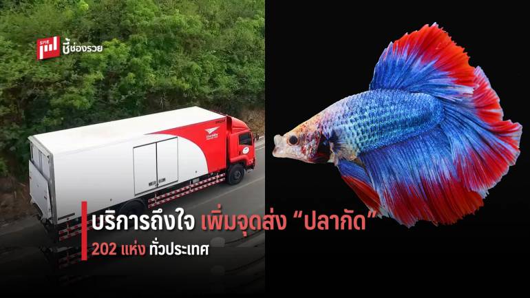 ไปรษณีย์ไทย เพิ่มจุดบริการส่งปลากัด รวม 202 แห่งทั่วประเทศ