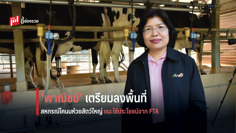 ‘พาณิชย์’ เตรียมลงพื้นที่สหกรณ์โคนมห้วยสัตว์ใหญ่ แนะใช้ประโยชน์จาก FTA 
