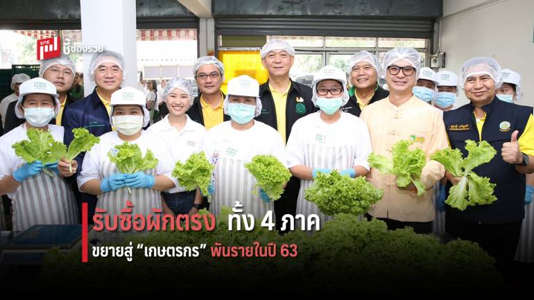 เทสโก้ โลตัส รับซื้อผักตรงครอบคลุมทั้ง 4 ภาคทั่วไทย เดินหน้าขยายโครงการสู่เกษตรกร 1,000 รายภายในสิ้นปี 