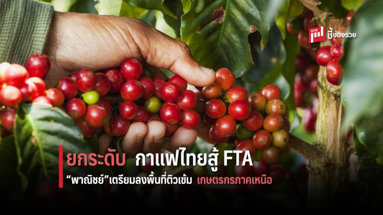 “พาณิชย์” จับมือสมาคมกาแฟไทย ยกระดับกาแฟไทยสู้ FTA