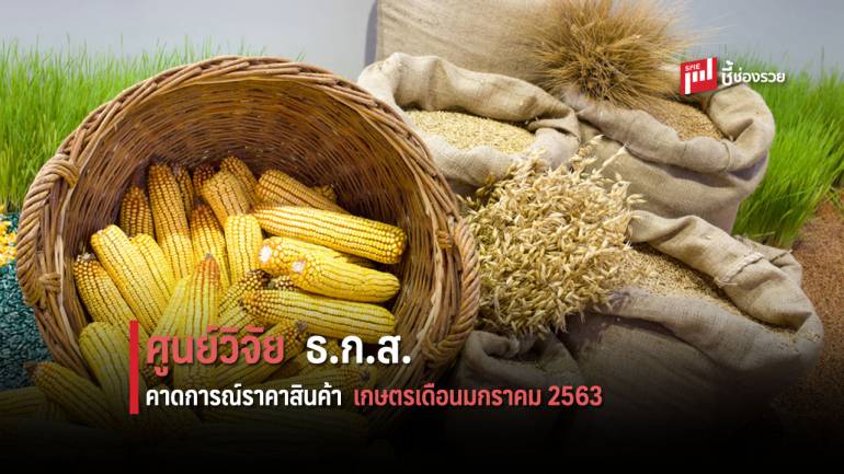 ศูนย์วิจัย ธ.ก.ส. คาดการณ์ราคาสินค้าเกษตร เดือนมกราคม 2563