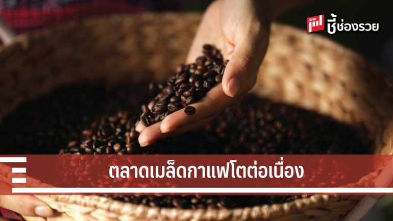ตลาดผลิตเมล็ดกาแฟยังเป็นโอกาสที่สดใสของไทย