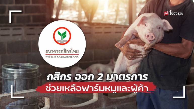 กสิกรไทย ออก 2 มาตรการ ช่วยเหลือ ฟาร์มหมู และผู้ค้า พักชำระเงินต้น – สินเชื่อฟื้นฟู วงเงินกว่า 2,000 ล้าน