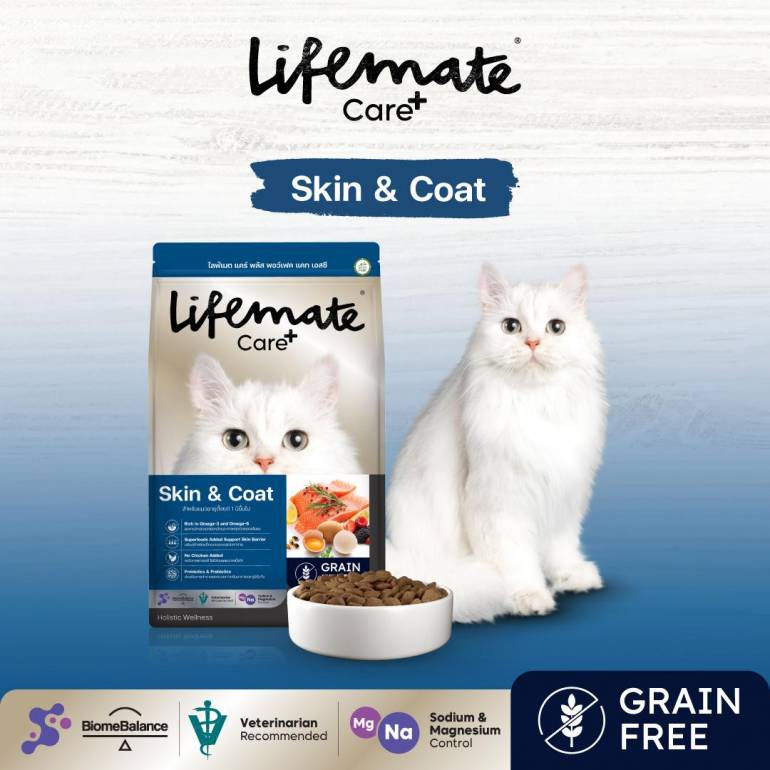 Lifemate Care+ Pawfect Cat Skin & Coat อาหารแมวโตสูตรดูแลผิวหนังและขน