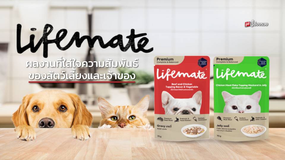 “Lifemate” ธุรกิจอาหารสัตว์เลี้ยงฝีมือคนไทยที่ตั้งใจทำเพื่อสัตว์เลี้ยงที่คุณรัก