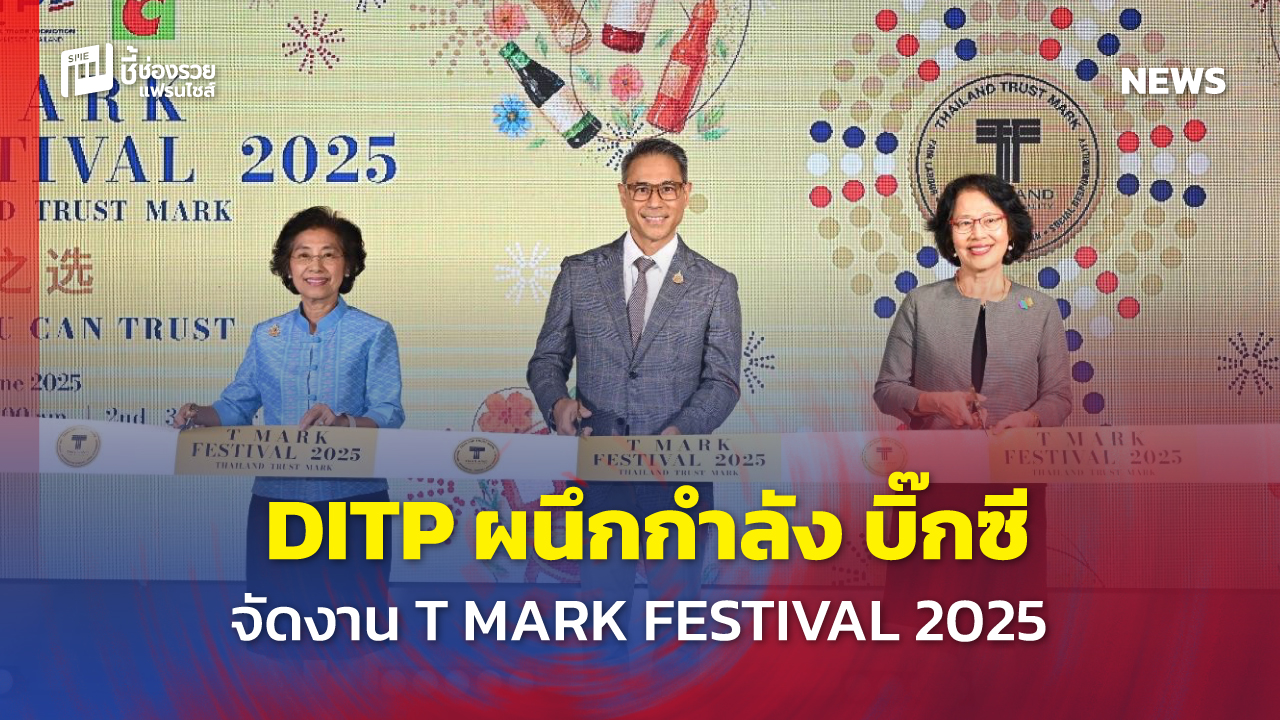 T MARK FESTIVAL 2025