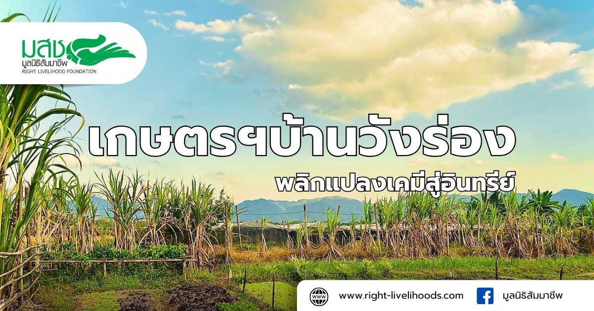 เกษตรฯบ้านวังร่อง